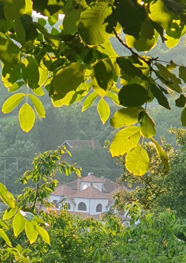 Knez Apartmani Senje Zewnętrze zdjęcie