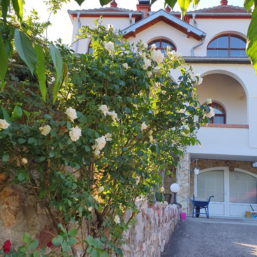 Knez Apartmani Senje Zewnętrze zdjęcie