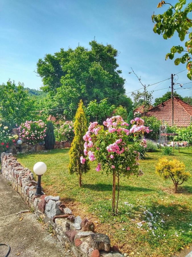 Knez Apartmani Senje Zewnętrze zdjęcie