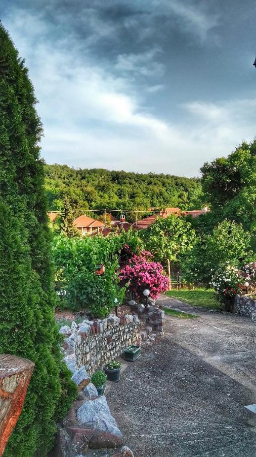 Knez Apartmani Senje Zewnętrze zdjęcie