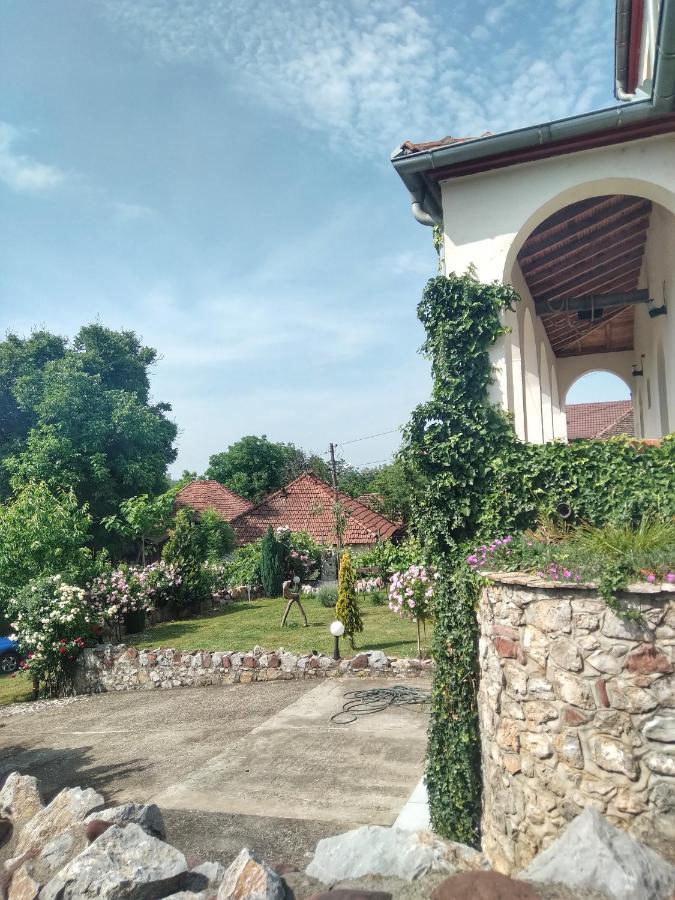 Knez Apartmani Senje Zewnętrze zdjęcie